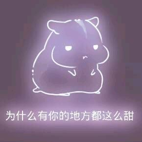 彩色荧光仓鼠表情包-第107张-