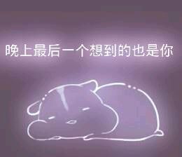 彩色荧光仓鼠表情包-第108张