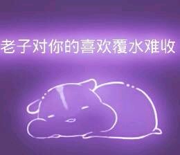 彩色荧光仓鼠表情包-第109张-