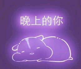 彩色荧光仓鼠表情包-第123张-