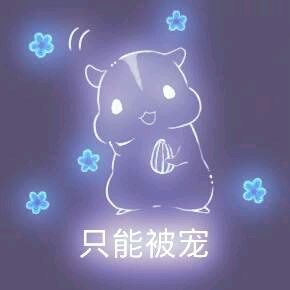 彩色荧光仓鼠表情包-第125张-