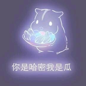 彩色荧光仓鼠表情包-第126张-