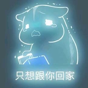 彩色荧光仓鼠表情包-第122张-