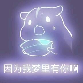 彩色荧光仓鼠表情包-第129张-