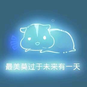 彩色荧光仓鼠表情包-第132张-