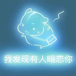 彩色荧光仓鼠表情包-第137张-