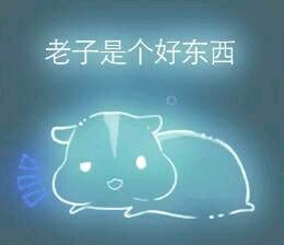 彩色荧光仓鼠表情包-第138张-