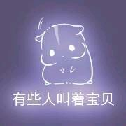 彩色荧光仓鼠表情包-第146张-