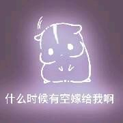彩色荧光仓鼠表情包-第144张-
