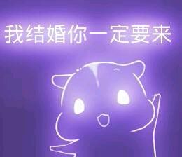 彩色荧光仓鼠表情包-第145张-