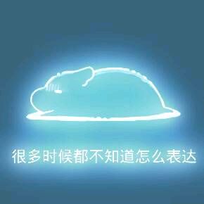 彩色荧光仓鼠表情包-第148张-