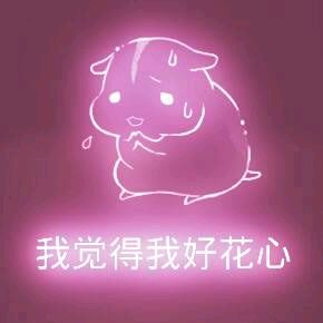 彩色荧光仓鼠表情包-第154张-