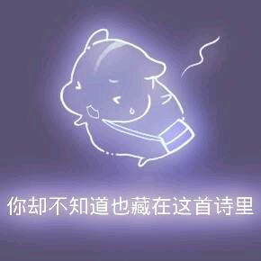 彩色荧光仓鼠表情包-第156张-