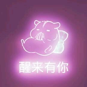 彩色荧光仓鼠表情包-第157张-