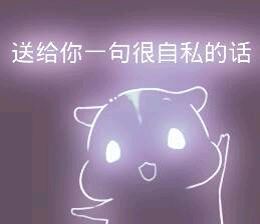 彩色荧光仓鼠表情包-第159张-