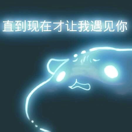 彩色荧光仓鼠表情包-第158张-