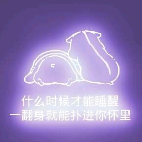 彩色荧光仓鼠表情包-第160张-