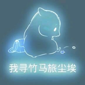 彩色荧光仓鼠表情包-第165张-