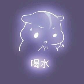 彩色荧光仓鼠表情包-第166张-