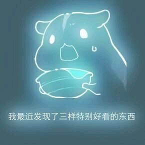 彩色荧光仓鼠表情包-第168张-
