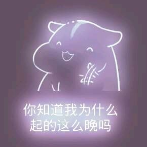 彩色荧光仓鼠表情包-第169张-