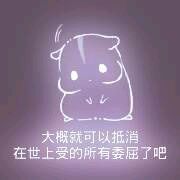 彩色荧光仓鼠表情包-第171张-
