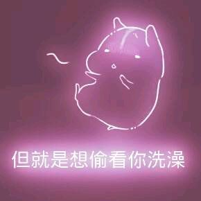 彩色荧光仓鼠表情包-第175张-
