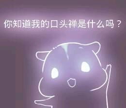 彩色荧光仓鼠表情包-第176张-