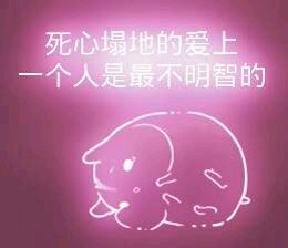 彩色荧光仓鼠表情包-第177张-