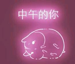 彩色荧光仓鼠表情包-第180张-