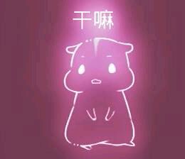 彩色荧光仓鼠表情包-第183张-