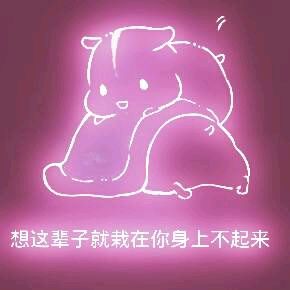 彩色荧光仓鼠表情包-第182张-