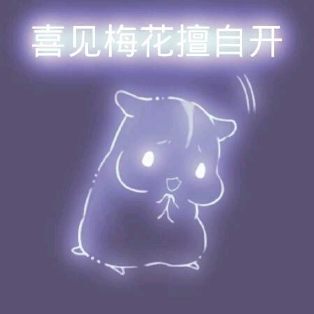 彩色荧光仓鼠表情包-第181张-