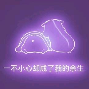 彩色荧光仓鼠表情包-第184张-