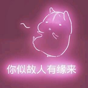 彩色荧光仓鼠表情包-第190张-