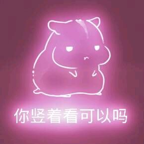 彩色荧光仓鼠表情包-第196张-