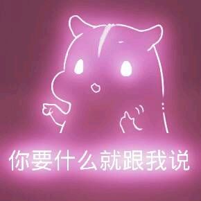 彩色荧光仓鼠表情包-第185张-
