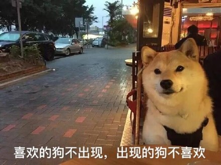 单身汪专用表情包-4