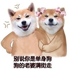 单身汪专用表情包-38-