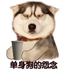 单身汪专用表情包-54-