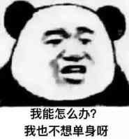 单身汪专用表情包-62-