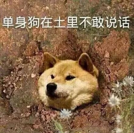 单身汪专用表情包-67-
