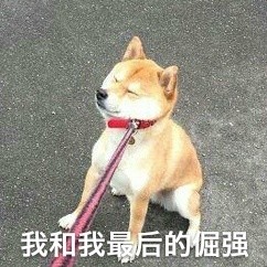单身汪专用表情包-154-