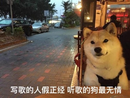 单身汪专用表情包-187-
