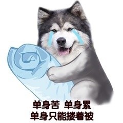 单身汪专用表情包-194-