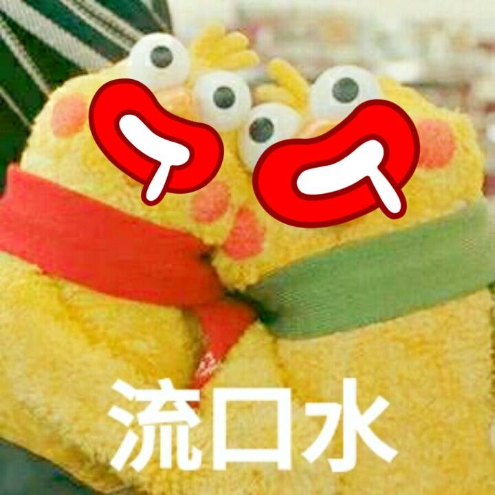 鹦鹉兄弟表情包18