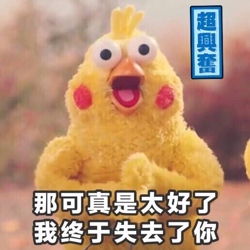 鹦鹉兄弟表情包21