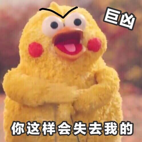 鹦鹉兄弟表情包40-