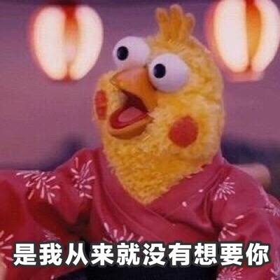 鹦鹉兄弟表情包39-
