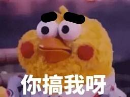 鹦鹉兄弟表情包48-